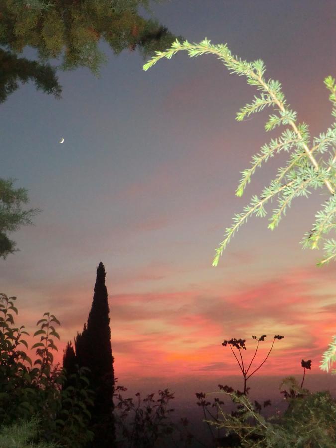 Il Giardino Di Alisa Panzió Tivoli Kültér fotó